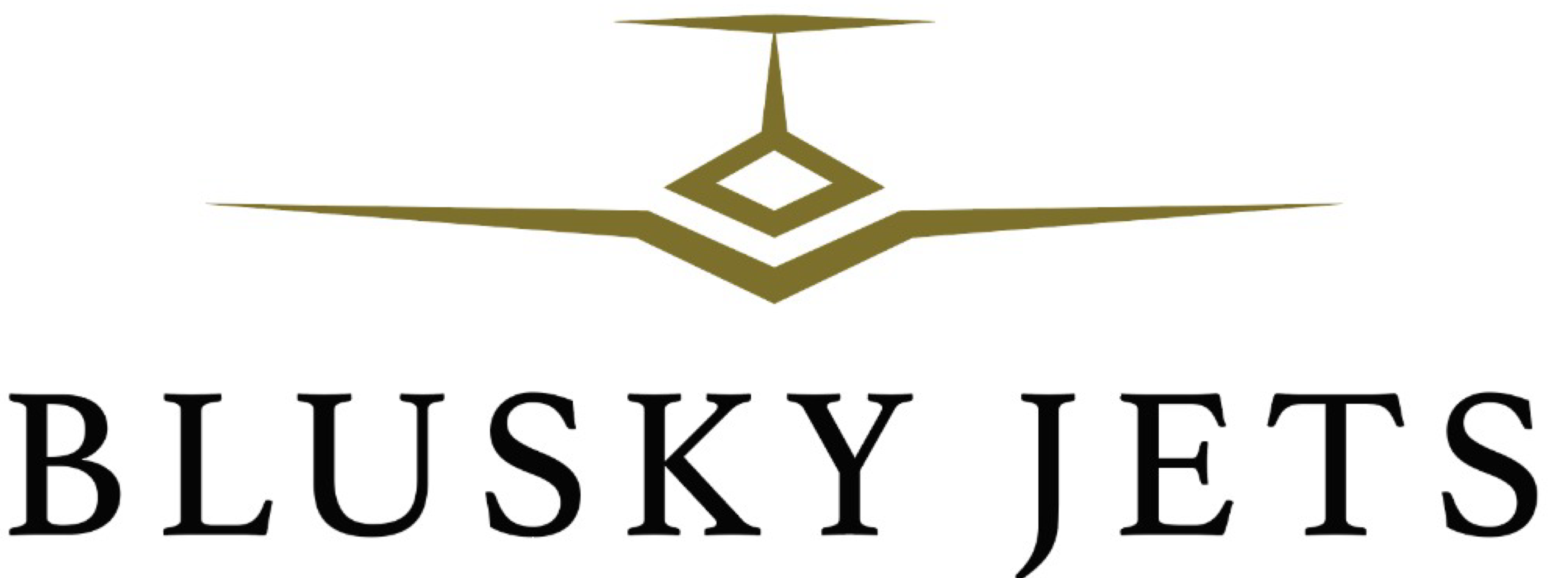 Blusky Jets Logo